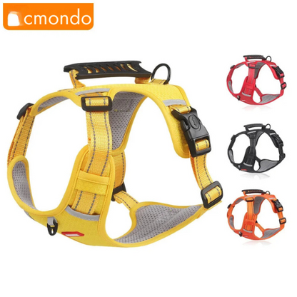 HondVeilig™ Reflecterende Veiligheidshalsband