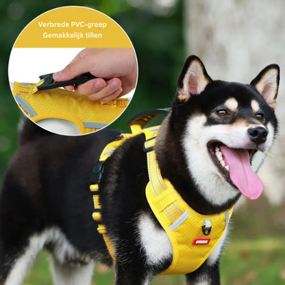 HondVeilig™ Reflecterende Veiligheidshalsband