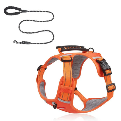 HondVeilig™ Reflecterende Veiligheidshalsband