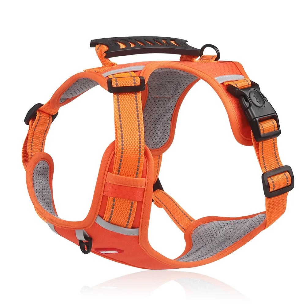 HondVeilig™ Reflecterende Veiligheidshalsband