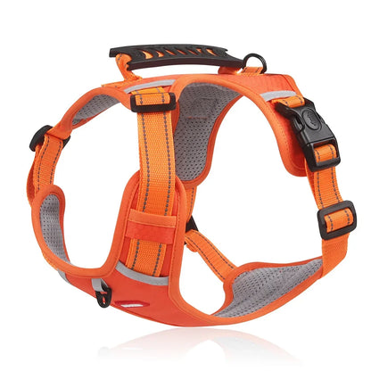 HondVeilig™ Reflecterende Veiligheidshalsband