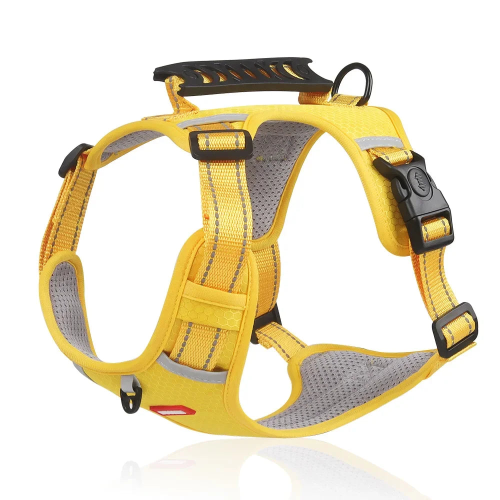 HondVeilig™ Reflecterende Veiligheidshalsband