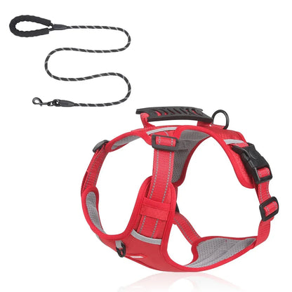 HondVeilig™ Reflecterende Veiligheidshalsband