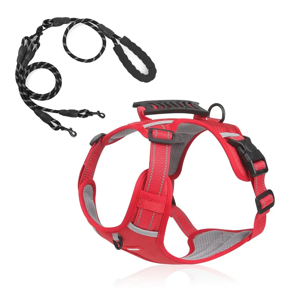 HondVeilig™ Reflecterende Veiligheidshalsband