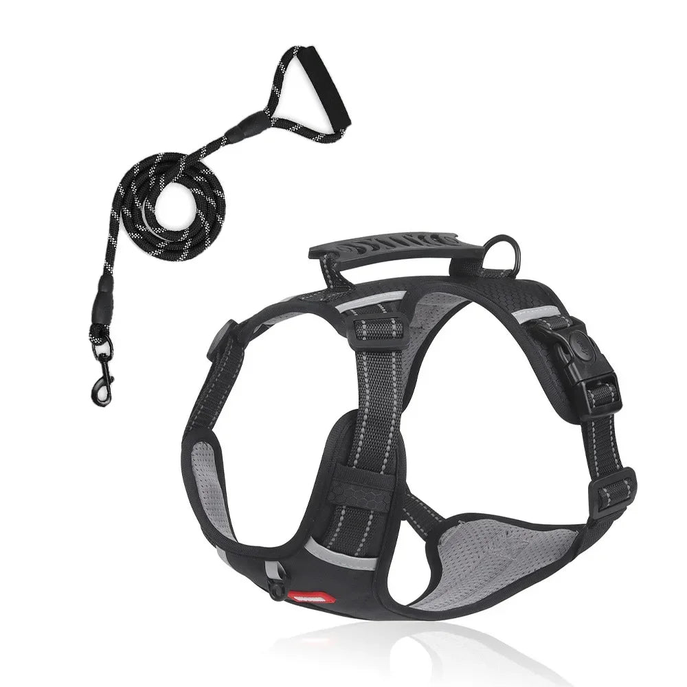 HondVeilig™ Reflecterende Veiligheidshalsband
