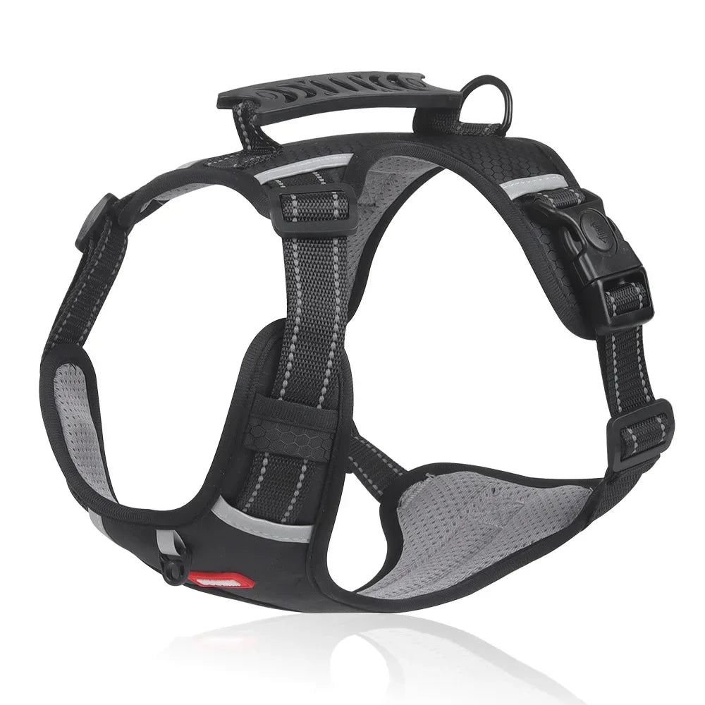 HondVeilig™ Reflecterende Veiligheidshalsband