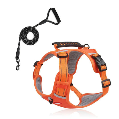 HondVeilig™ Reflecterende Veiligheidshalsband