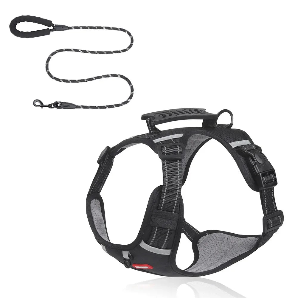 HondVeilig™ Reflecterende Veiligheidshalsband