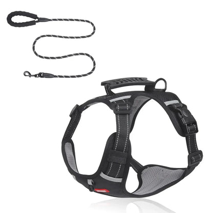HondVeilig™ Reflecterende Veiligheidshalsband